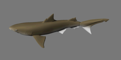 Profile view of shark robot, 400 by 200 pixels