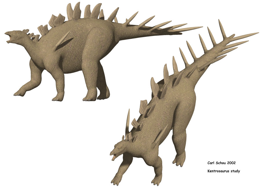 Kentrosaurus Study, 903 by 645 pixels
